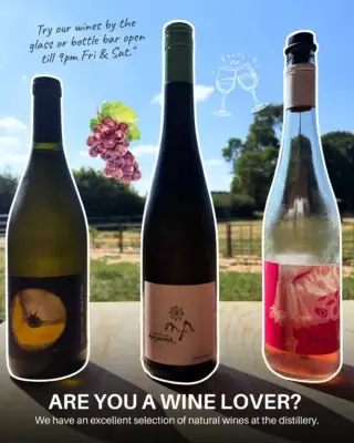 Are you a wine lover?

We have so many various wines for you, try them by the glass or the bottle!🍷 

#humblebynature