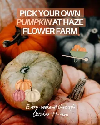 Pumpkin picking is here!

Join us in the month of October... 🎃

#humblebynature