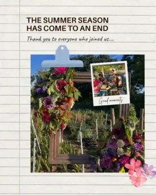 Thank you summer, you were amazing! 💐

So many wonderful memories to remember.

Now onto the autumn season, we can't wait for what we have in store.

#humblebynature